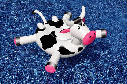 Cow Float