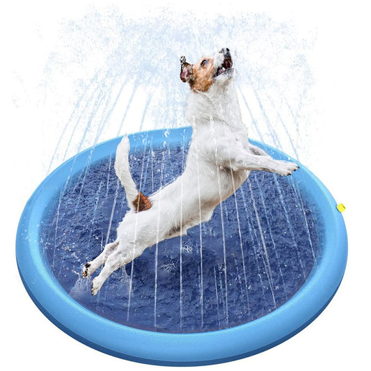 Dog Splash Pad